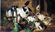 unknow artist Rabbits 198 Spain oil painting artist